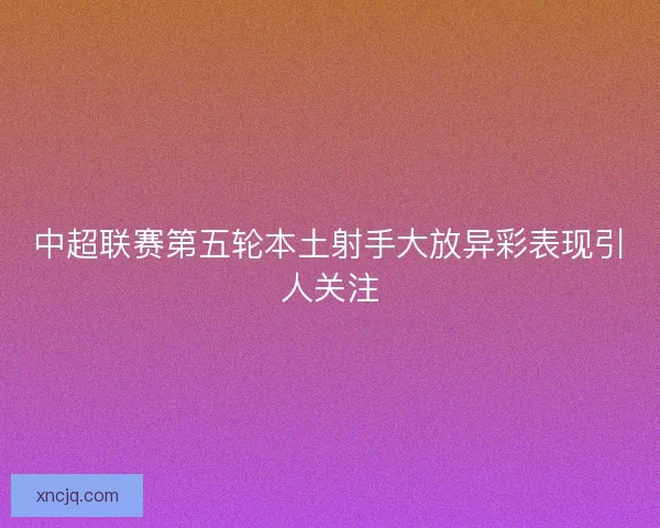 中超联赛第五轮本土射手大放异彩表现引人关注