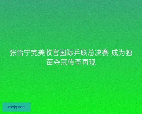 张怡宁完美收官国际乒联总决赛 成为独苗夺冠传奇再现